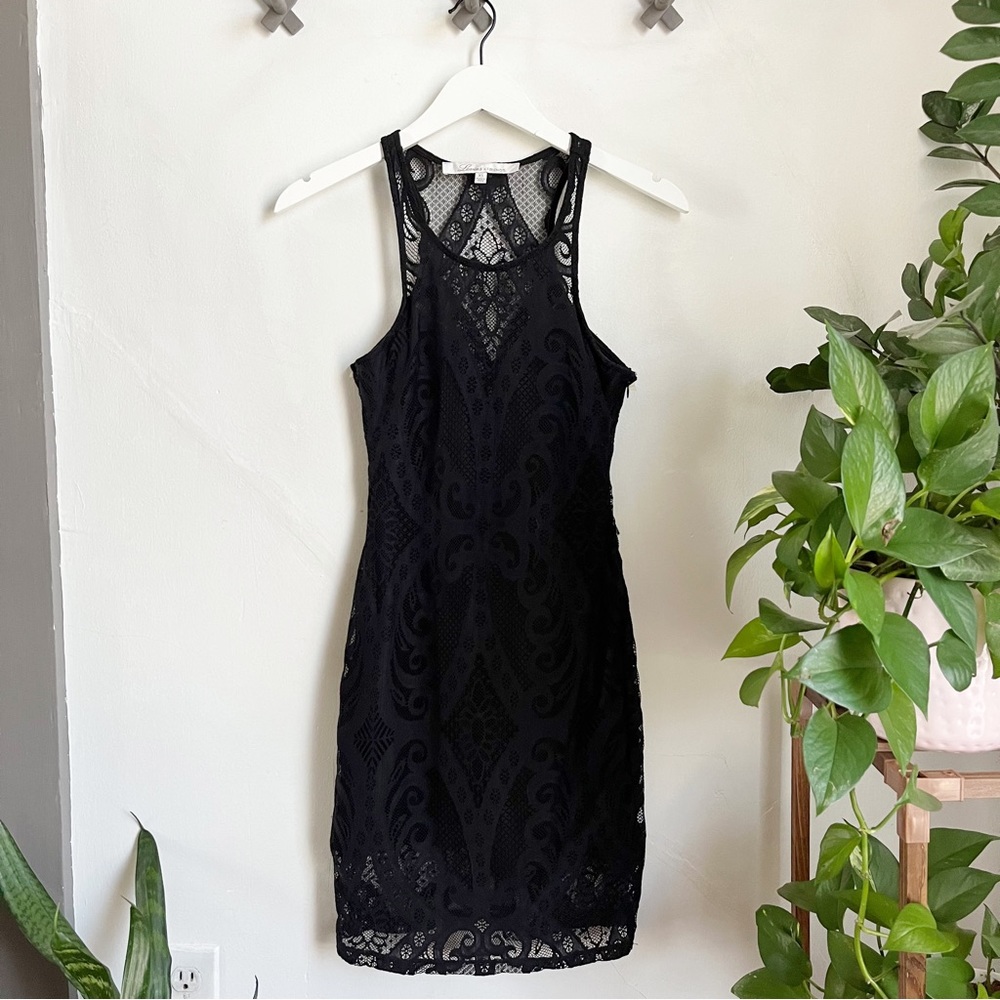Lovers + Friends Wild at Heart Lace Mini Dress